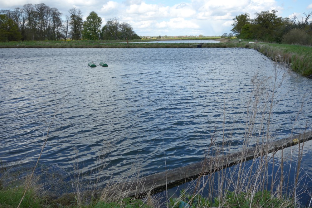 Example of a lake/river water source for a closed loop heat pump. Image courtesy of NFU Energy.